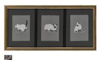 Ölbild: Katze in drei Ansichten